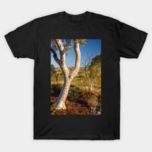 Karijini National Park, Western Australia T-Shirt